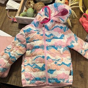 Toddler hooded north face coat